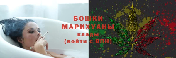 ГАЛЛЮЦИНОГЕННЫЕ ГРИБЫ Болохово