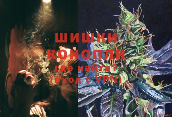сатива Валдай