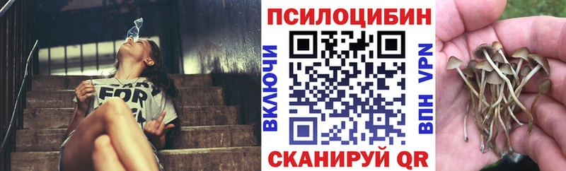 Галлюциногенные грибы Cubensis  Избербаш 