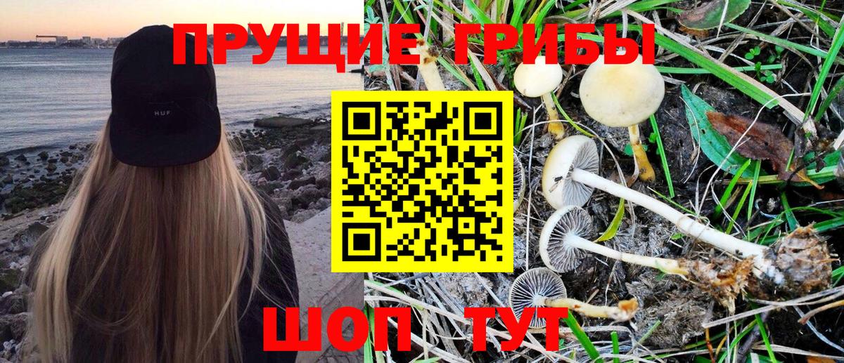 Галлюциногенные грибы Magic Shrooms Избербаш